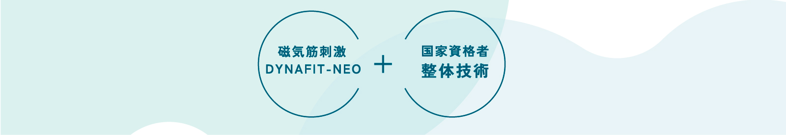 磁気筋刺激マシンDYNAFIT-NEO＋国家資格者 整体技術
